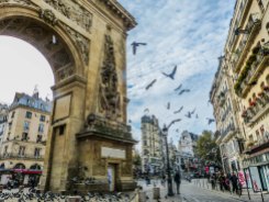 Les pigeons occupent une place importante à Paris ©Slam